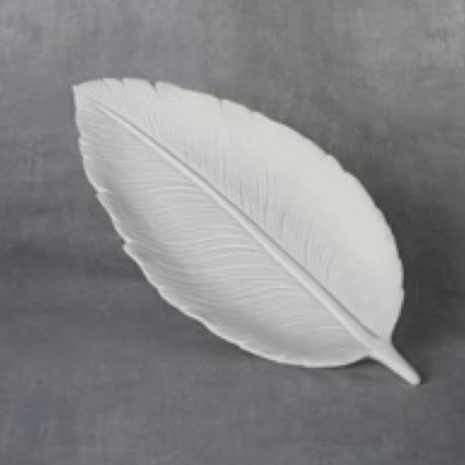 Large Feather Dish Pottery Haven